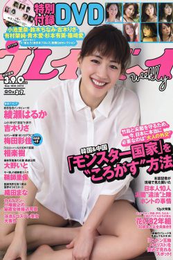 阳光路上 电视剧