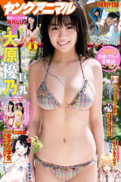 白蛇后传电视剧